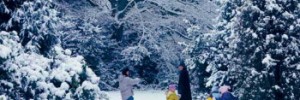 15711_winterarboretum