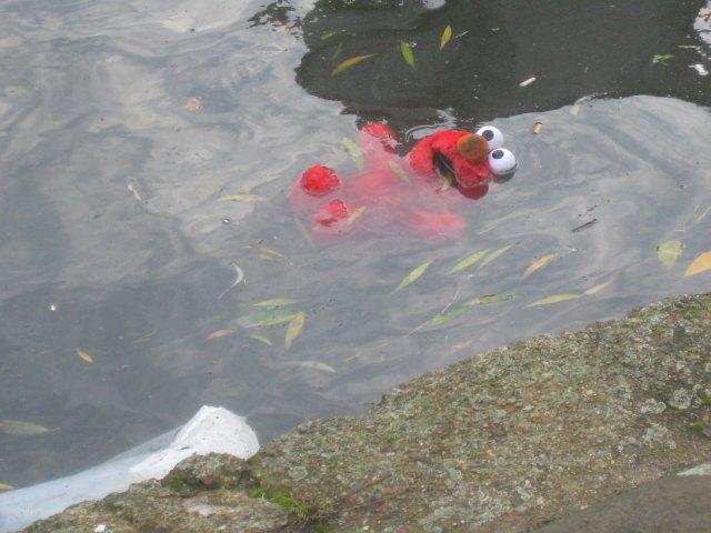 elmodrowns.jpg