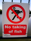 nofishing.jpg