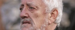 15768_cribbins0110