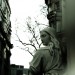 15771_0201c.weru