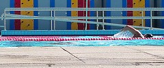 15815_0601_lido
