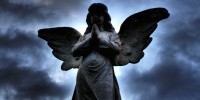 15820_angel
