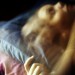 15863_bedghost 15863_bedghost
