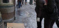 15891_lovingthesnow