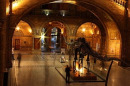 15958_dippy1