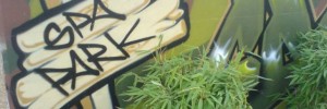 16020_012510MondayMisc