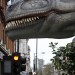 16079_dinohead 16079_dinohead