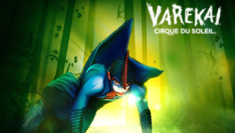 Varekai.jpg