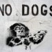 16147_no_dogs030210 16147_no_dogs030210