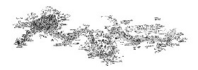 16185_City