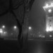 16186_HGfoggy 16186_HGfoggy
