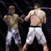 16310_bamma2