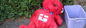 16357_nobearfootballred