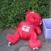 16357_nobearfootballred