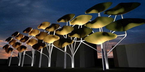 2202_shoal.jpg