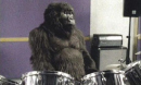 drumgorilla.jpg