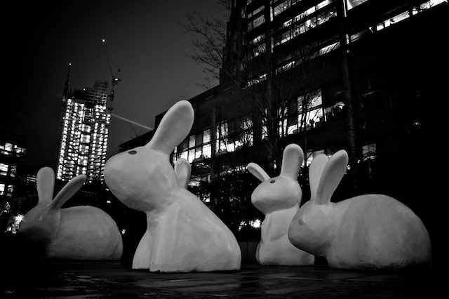 potd_10_32.jpg