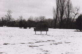 snow_bench_090210.jpg