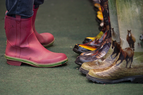 wellieslotc.jpg