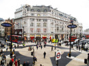 16489_oxcircussmall