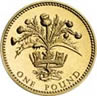 16521_0503_pound
