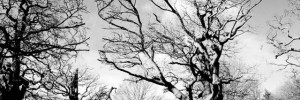 16543_0703.weru