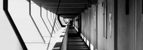 16586_1003_brunswick