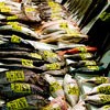 16646_morefish