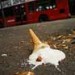 16674_1810_cream Image / PHOTOHUMOURIST