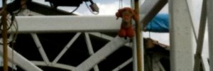 16702_tiggerhangs