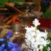 16846_0204.haft 16846_0204.haft