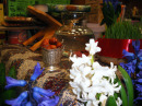 16846_0204.haft 16846_0204.haft