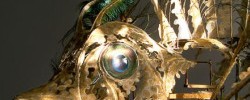16910_mechanicalfish