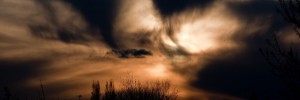 16930_1204c.ee