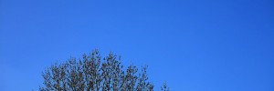 16995_clear_blue_sky