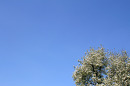 17021_blueskies_200410