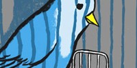 17045_tweetjustice 17045_tweetjustice