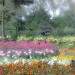17102_stjamespark280410 We hope the weather will be glorious, in which case seek out this floral scene in St James Park (by mrdamcgowan)