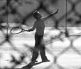 17135_2904_tennis