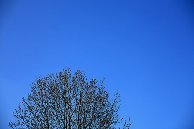 Clear blue sky