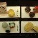 17183_Minamoto