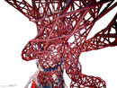 17461_kapoorolympicsml
