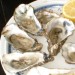 17499_Oyster