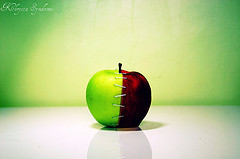 4578101913_b01941fa91_m.jpg