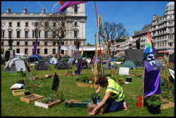 democracyvillage_260510.jpg