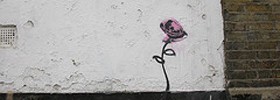 17306_urbanbloom