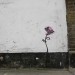17306_urbanbloom 17306_urbanbloom