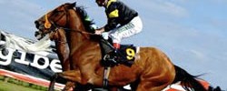 17553_hossrace 17553_hossrace