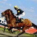 17553_hossrace 17553_hossrace